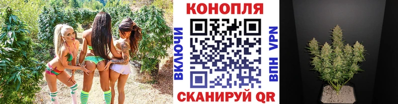 ссылка на мегу маркетплейс  Свободный  МАРИХУАНА планчик  магазин   